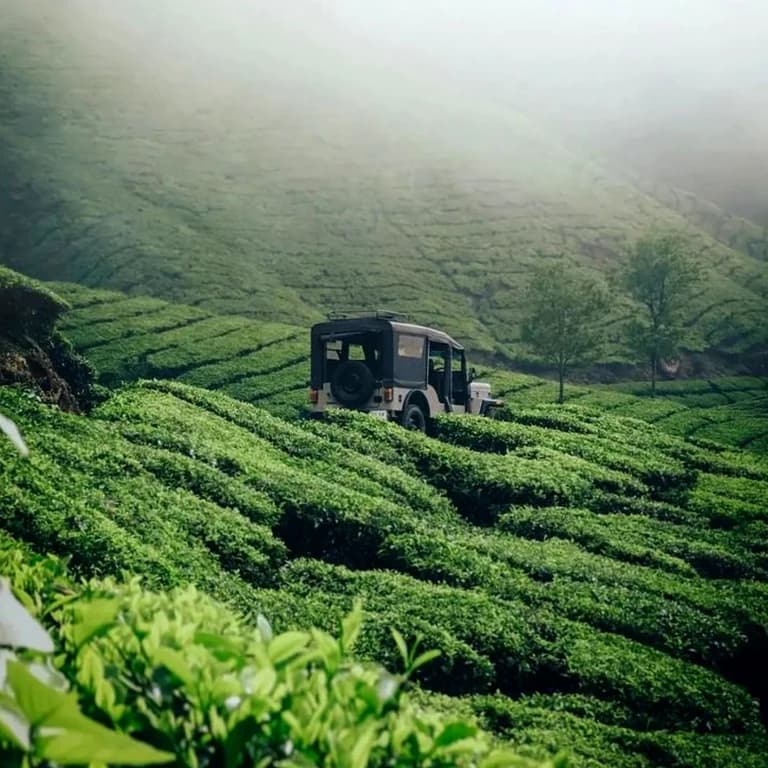 Vagamon Kerala Staycation